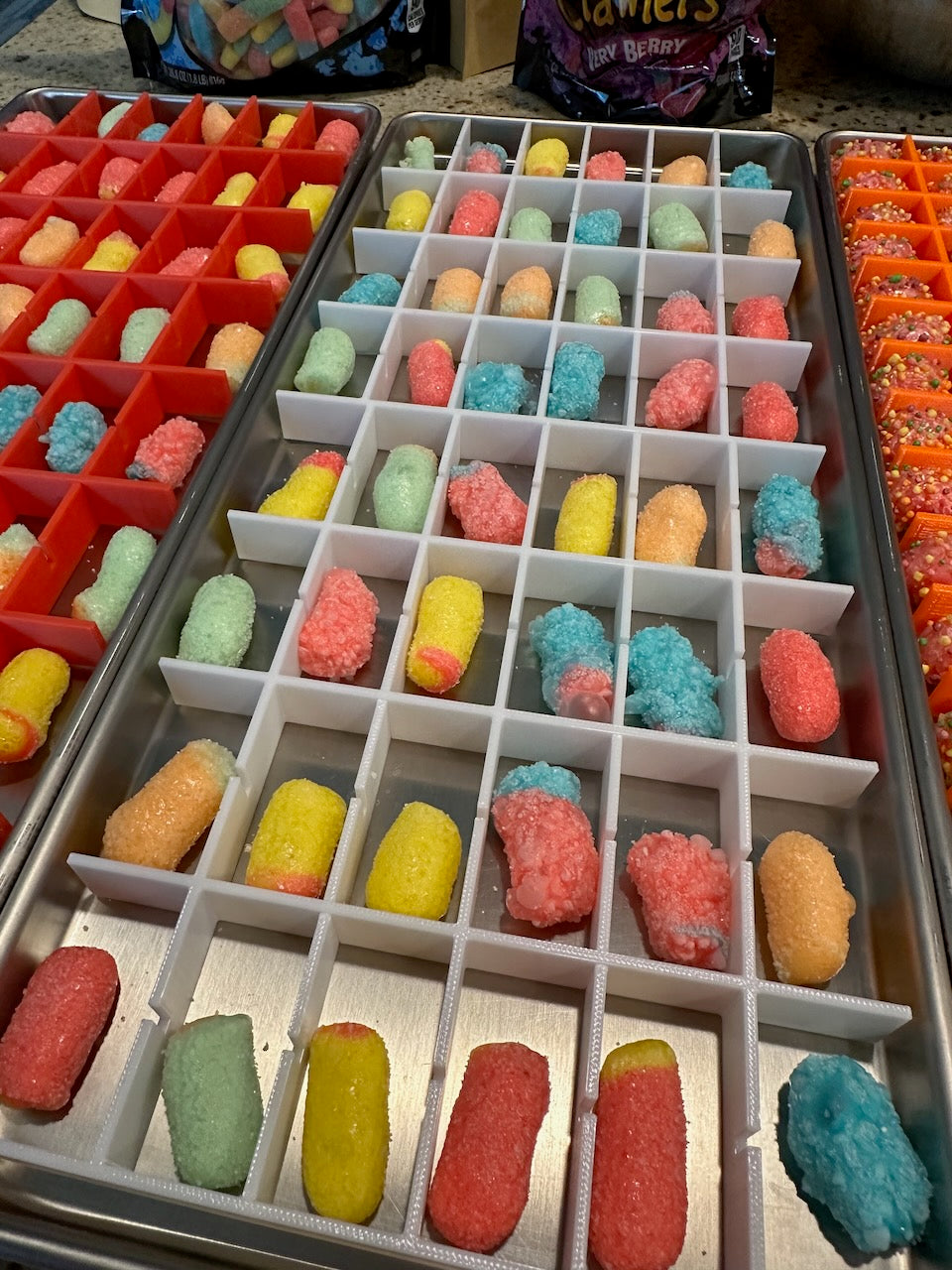 HARVESTRIGHT SMALL Tray CANDY Dividers - Fits SMALL Harvest Right Freeze Dryer Trays