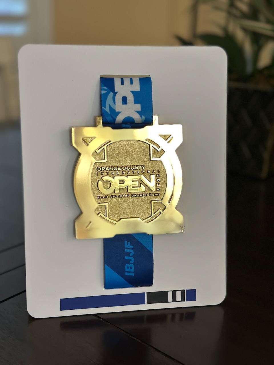 Personalized Jiu Jitsu Medal Display | Desktop Stand | Wall Mount | belt color / stripes | Judo | Wrestling