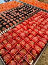 HARVESTRIGHT Freeze Dryer (MEDIUM) CANDY Tray Dividers - Fits Medium Harvest Right Trays