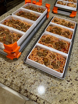 HARVESTRIGHT SMALL Tray Dividers - Fits SMALL Harvest Right Freeze Dryer Trays