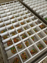 HARVESTRIGHT Freeze Dryer (SMALL) CANDY Tray Dividers - Fits Small Harvest Right Trays