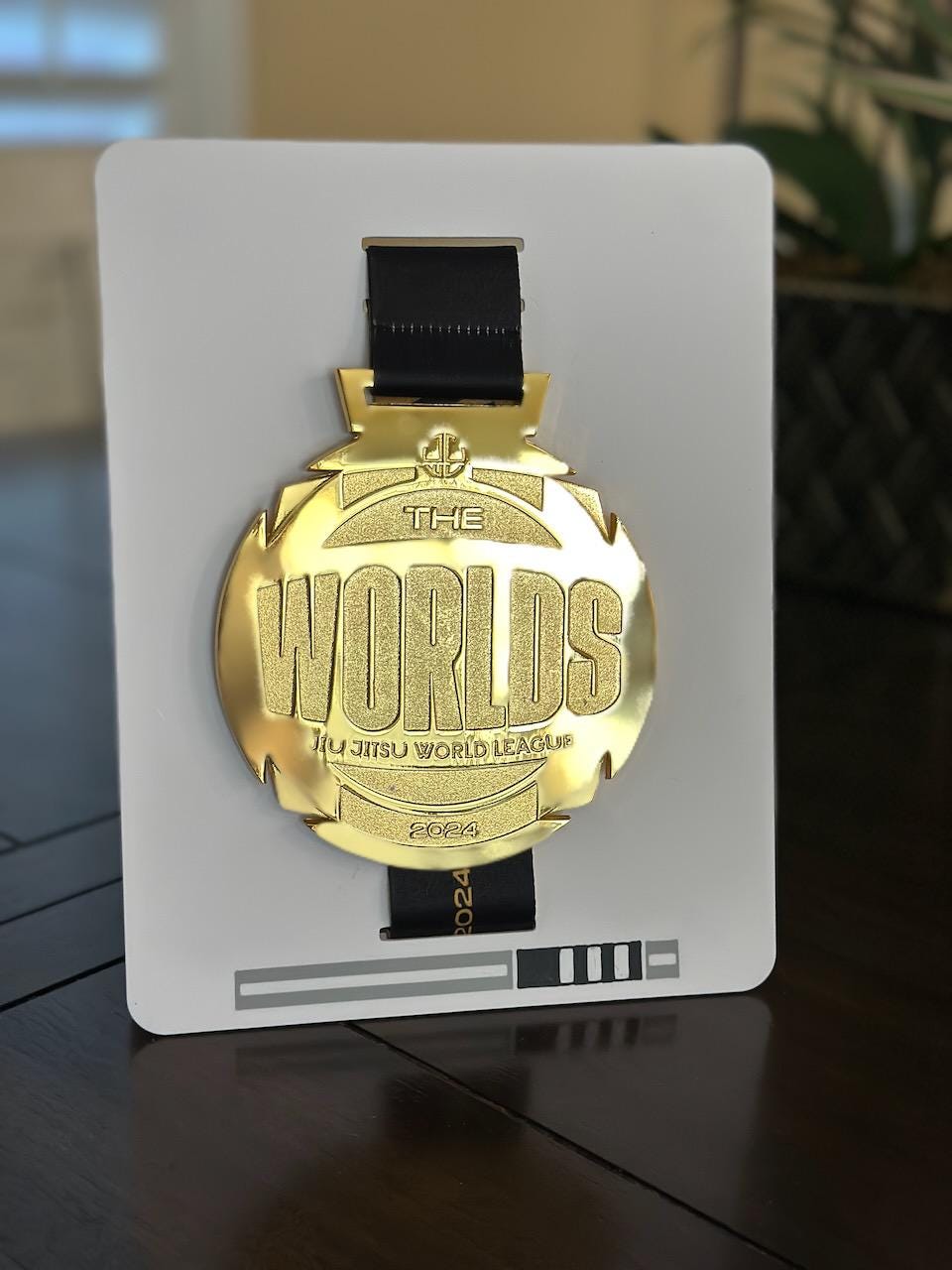 Personalized Jiu Jitsu Medal Display |  Desktop Stand | Wall Mount | belt color / stripes | Judo | Wrestling